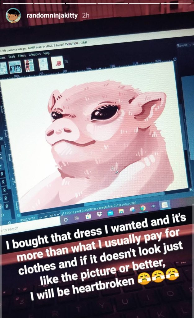 randomninjakitty instagram screenshot of just the pig wip